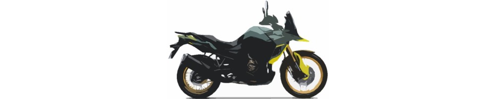 V-STROM 800DE