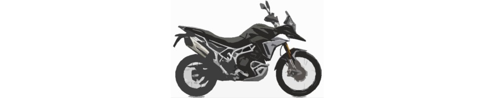 TIGER 900 RALLY PRO