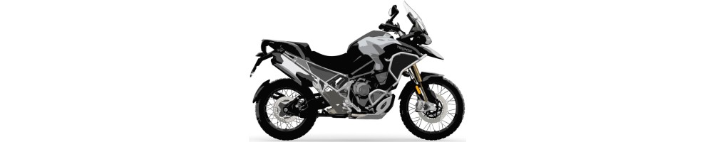 TIGER 1200GT PRO