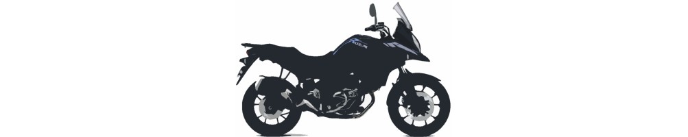 V-STROM 650